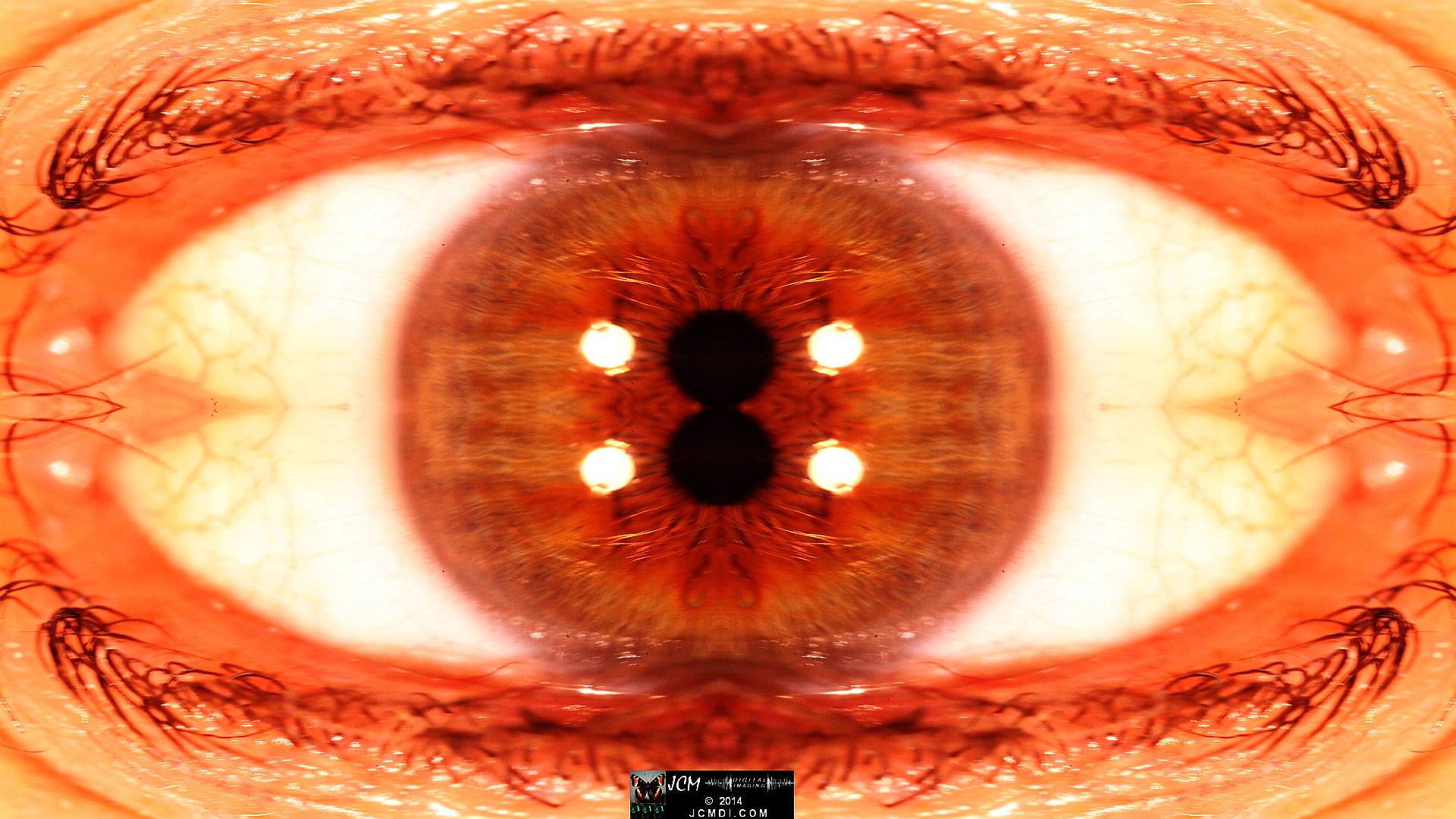 Quadroscopic Artwork made from an image of a real human eye